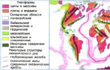 Шкала геохронологическая и история развития живых организмов